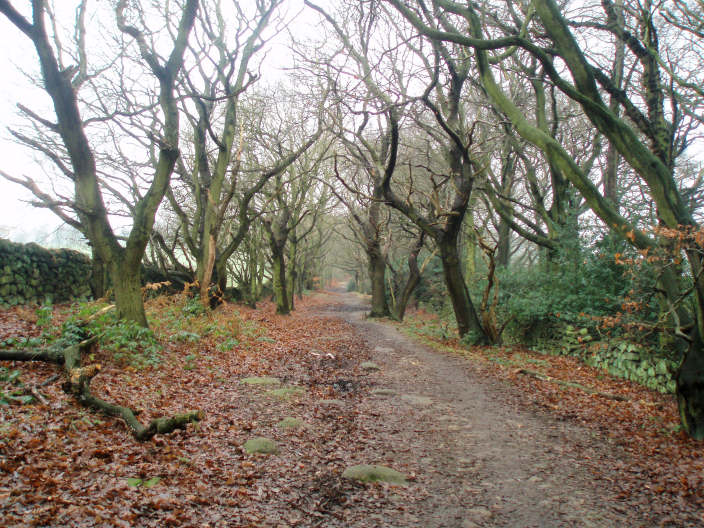 The Chevin The Chevin